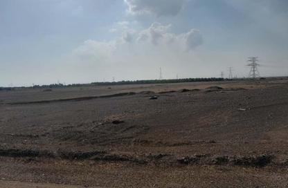 Land - Studio for sale in Manama - Ajman
