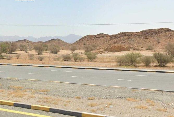 65557178 - Property Image 3