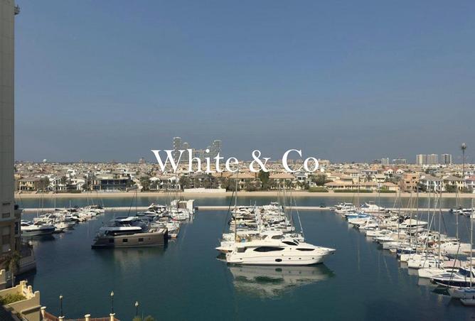 84883695 - صورة العقار 3