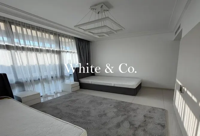 156485531 - Property Image 3