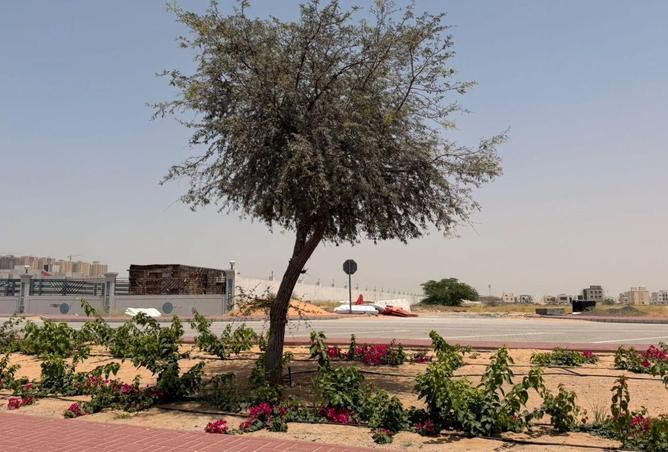 93135075 - صورة العقار 2