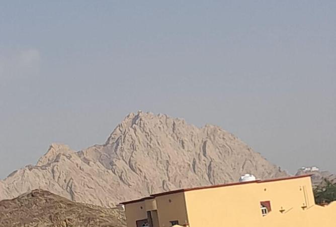 54386337 - صورة العقار 2