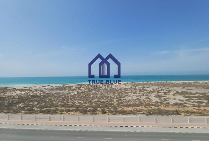 67846265 - صورة العقار 3