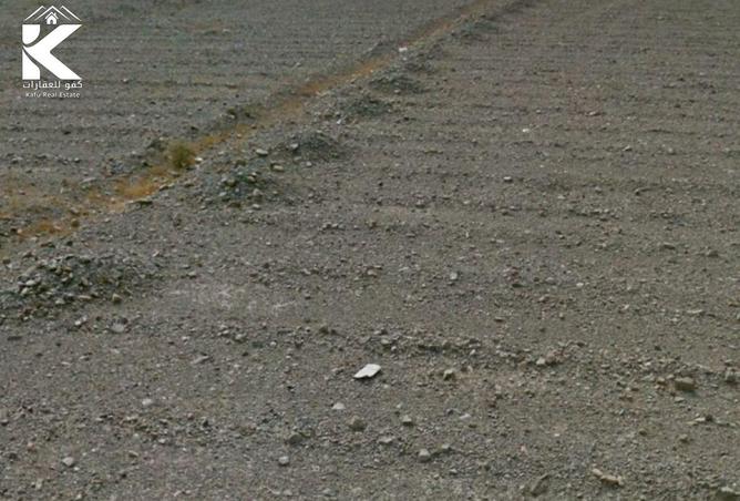 16050799 - صورة العقار 2