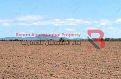 Land - Studio for sale in Arabian Hills Estate - Al Faqa'a - Al Ain