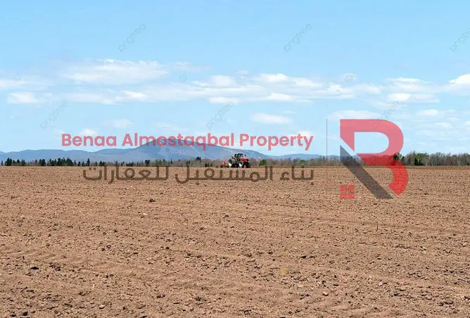 149578115 - Property Image 3