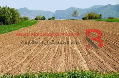 Land - Studio for sale in Arabian Hills Estate - Al Faqa'a - Al Ain