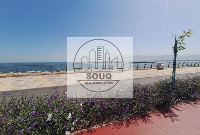 58955251 - Property Main Image