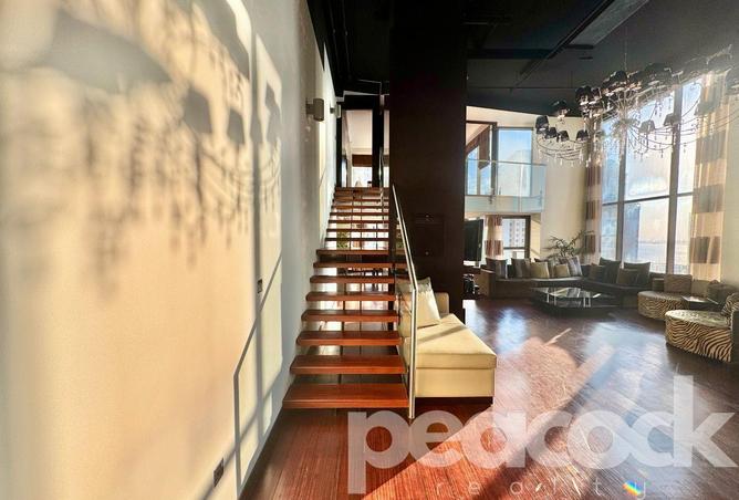 16196809 - Property Image 3