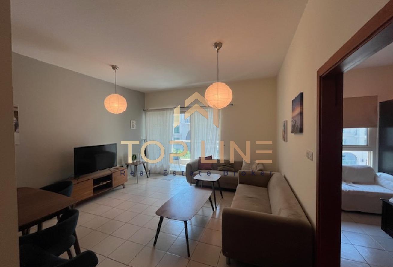 Furnished One Bedroom Apartment with Balcony photo 12