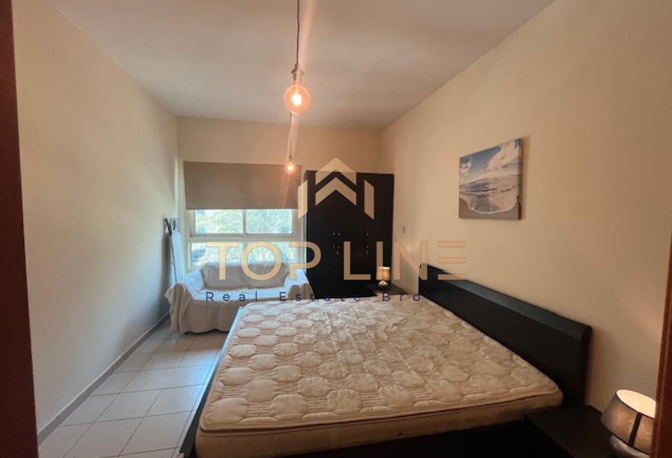 Furnished One Bedroom Apartment with Balcony photo 10