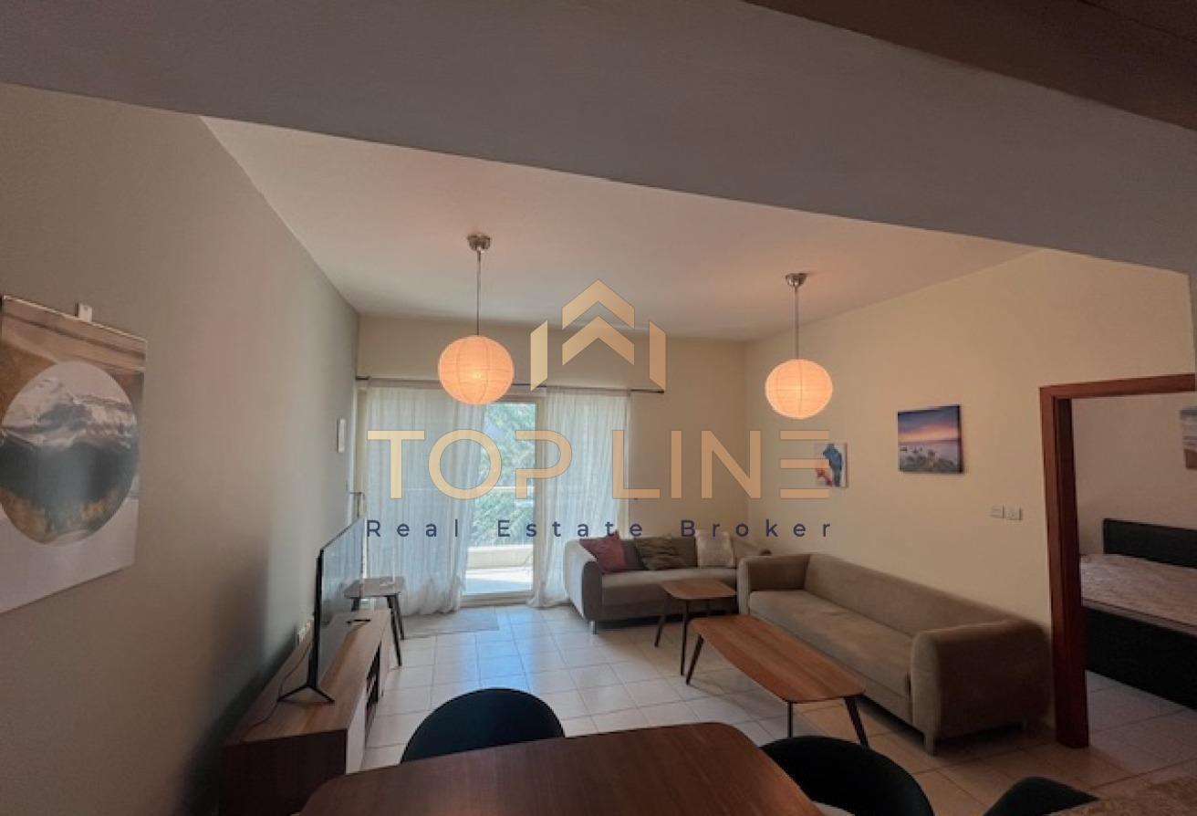 Furnished One Bedroom Apartment with Balcony photo 13