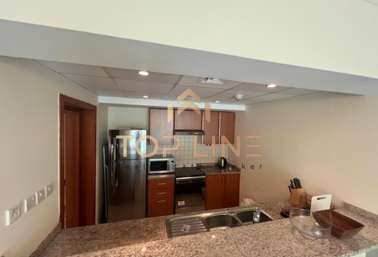 Furnished One Bedroom Apartment with Balcony photo 6