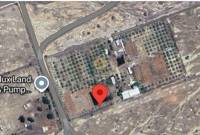 71465511 - Property Image 3