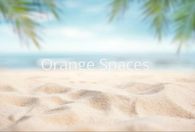 16076082 - Property Image 2