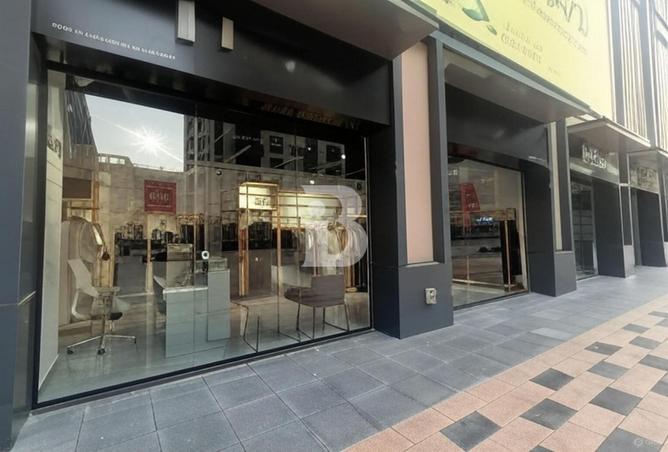 16295727 - Property Image 3