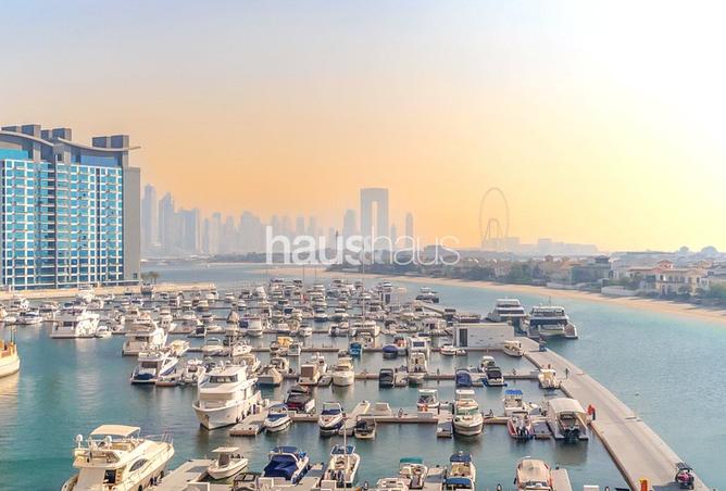 16027324 - صورة العقار 3