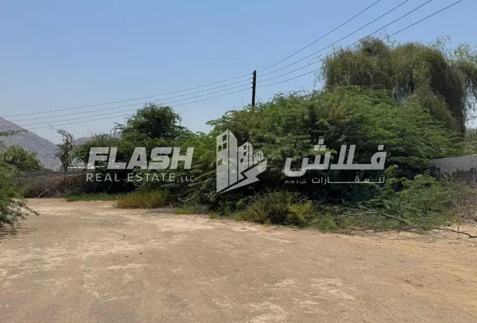 104246546 - صورة العقار 3