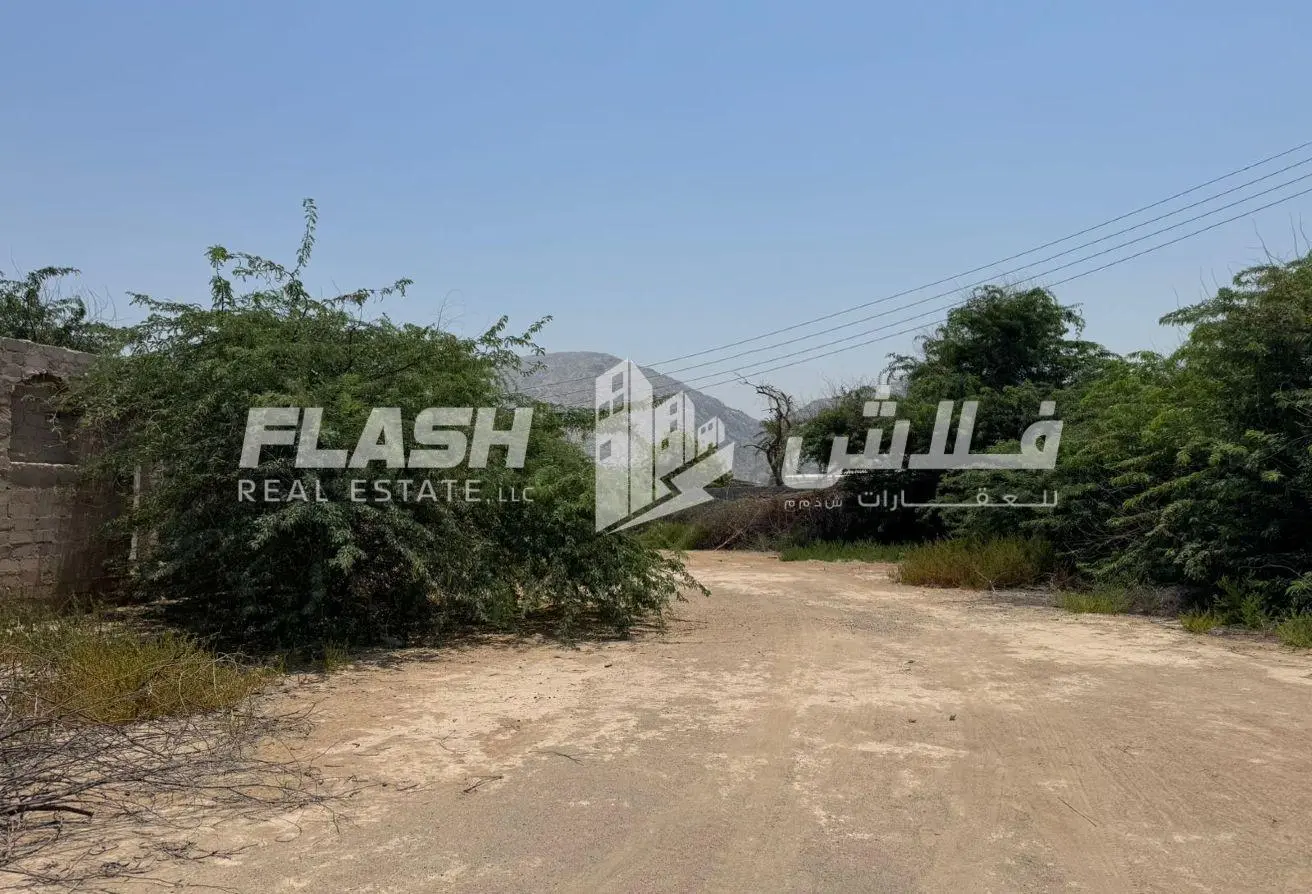 104246546 - الصورة الرئيسية للعقار