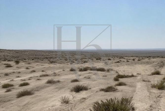 16189139 - Property Image 3