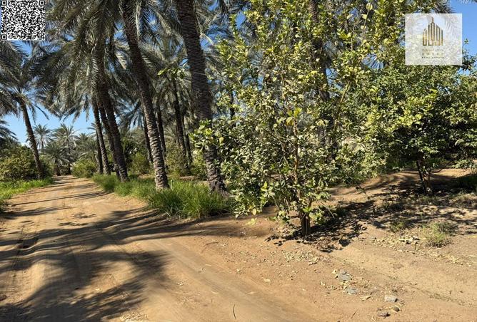 75401854 - Property Main Image