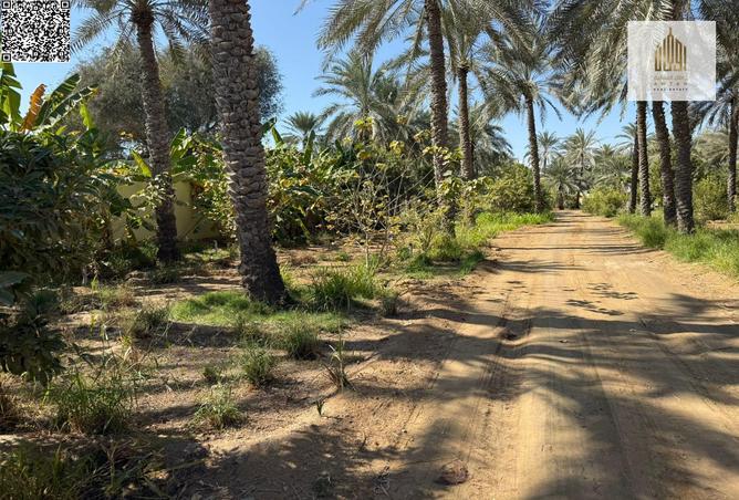 75401854 - Property Image 3