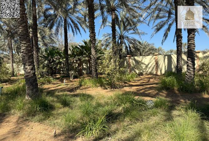 75401854 - Property Image 2