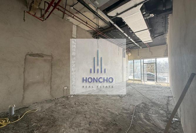 16231374 - Property Image 3