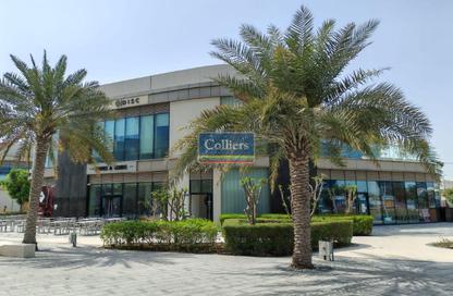 Shop - Studio for rent in Al Khalidiya - Abu Dhabi Shop - Studio for rent in Al Khalidiya - Abu Dhabi