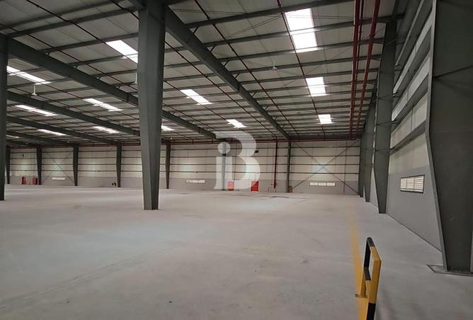 117709976 - Property Image 3