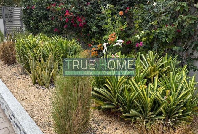 87032428 - Property Image 3