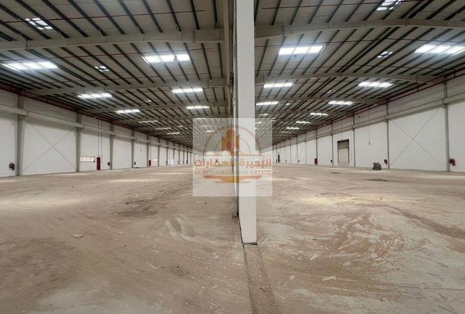 16199335 - Property Image 3