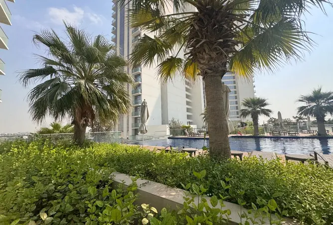 167002585 - Property Image 2