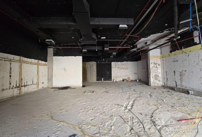 16300462 - Property Image 3