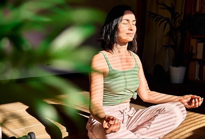 81924294 - Property Image 3