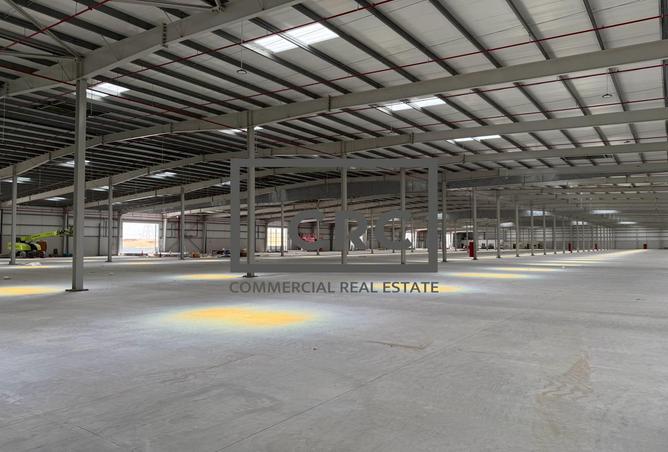 125633898 - Property Image 3