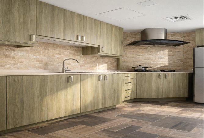 16258918 - Property Image 3