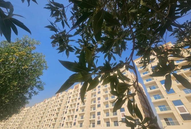 54401278 - Property Image 3