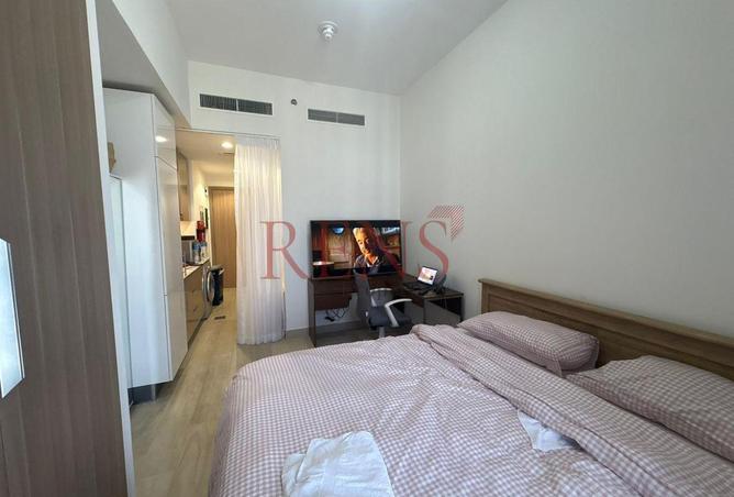 16198716 - Property Image 3