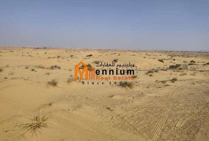 16248567 - Property Image 3