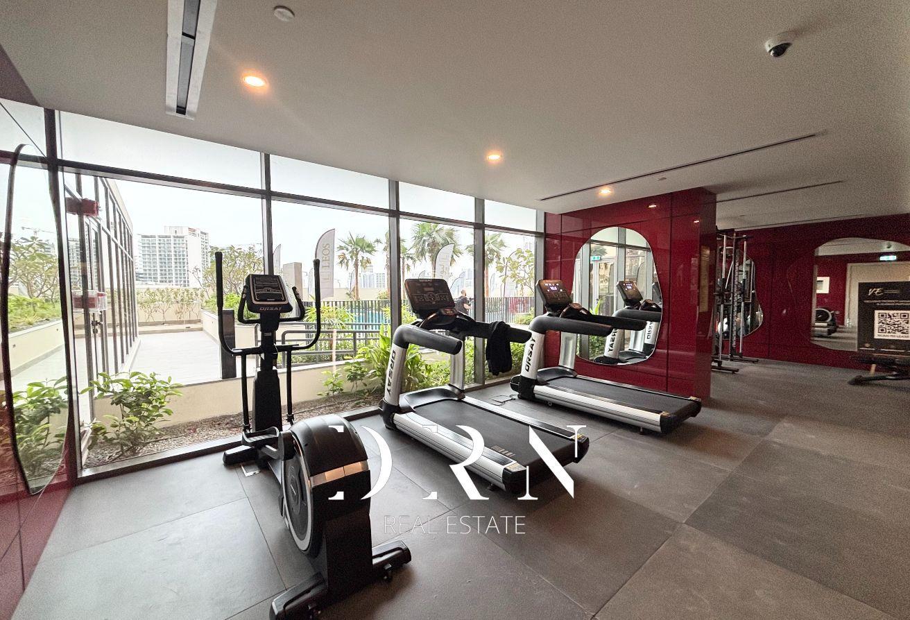 Elegant Studio | Upgraded | Furnished | Vacant photo 23