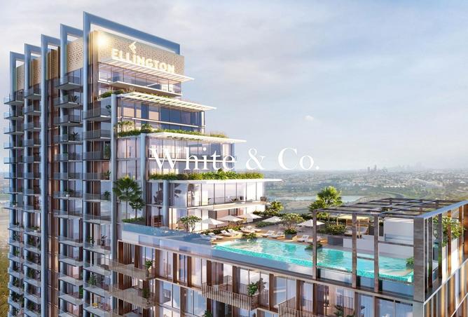 55338830 - Property Image 3