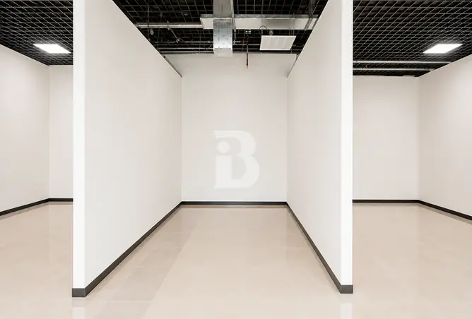 161428641 - Property Image 3