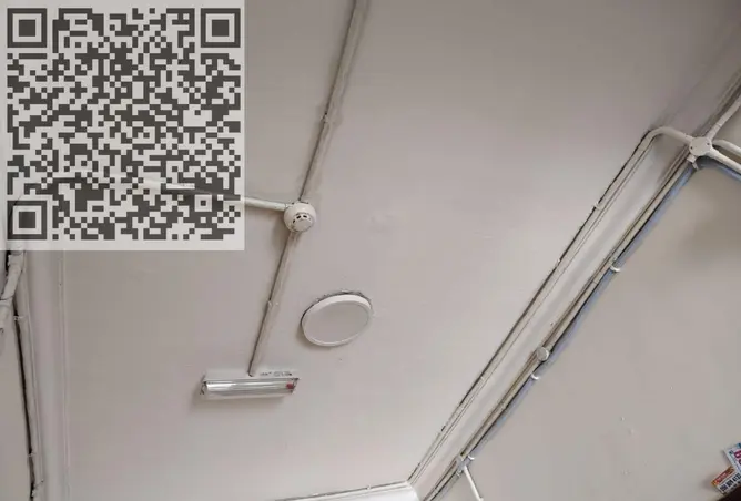 136118802 - Property Image 3
