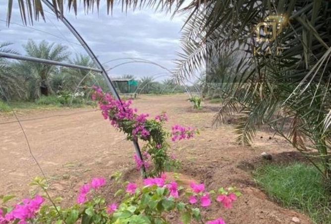93144623 - صورة العقار 3