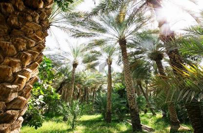 Farm - Studio for sale in Al Bahya - Abu Dhabi