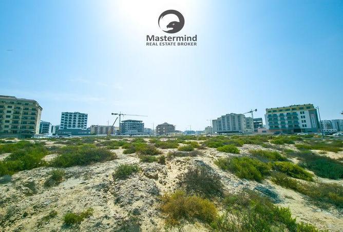 71507624 - Property Image 3