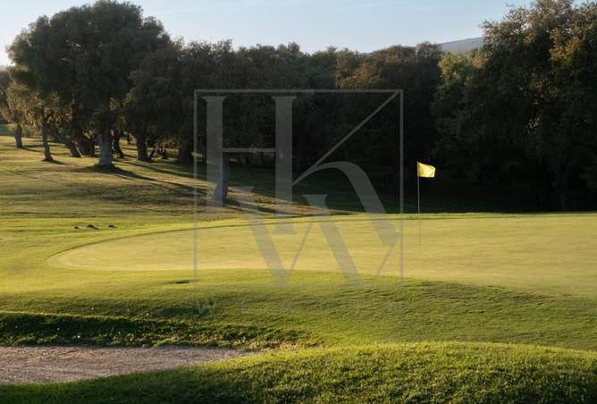 16290373 - Property Image 2