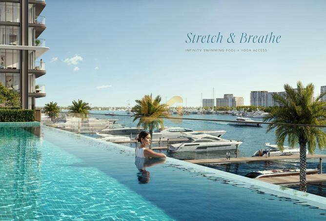 55353591 - Property Image 3