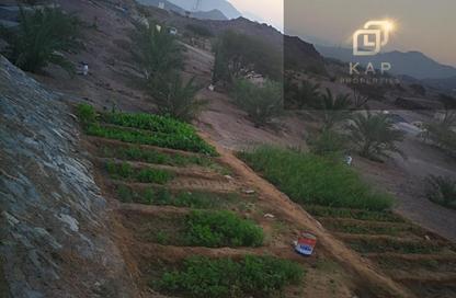Farm - Studio for rent in Seih Al Bana - Ras Al Khaimah